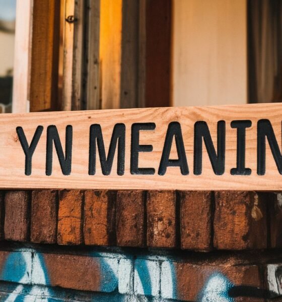 YN YN meaning